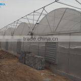 Cheap Easily Inatalled Plastic Film Vegetable Greenhouse thumbnail-2