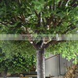 Artificial Large Outdoor Money Tree Green Large Artificial Decorative Rich Tree Money Plant Tree thumbnail-3