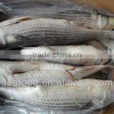 Frozen Food Grey Mullet Frozen Seafood thumbnail-1