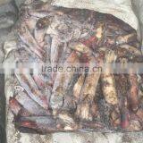 60-120g Seafood Frozen Black Squid thumbnail-1