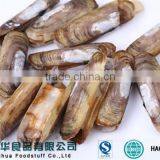 Frozen Razor Clam in Shellfish Frozen Seafood Exporters thumbnail-2