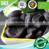 Vitamin Rich Organic Snack Green Food Fermented Peeled Black Garlic Bulb China Free Sample thumbnail-3