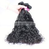 Wholesale Unprocessed Virgin Remy Human Hair Water Wave 100% Human Hair Weave thumbnail-3