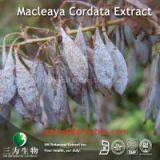 Macleaya cordata extract