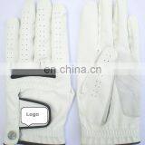 Synthetic Gloves thumbnail-1