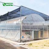 2017 Hot Selling Greenhouse Farm For Sale thumbnail-5