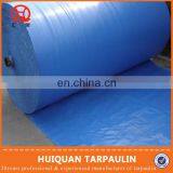 Tarpaulin Canvas in Roll Tarpaulin Slippery Purchase