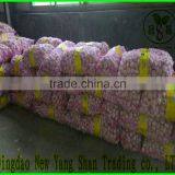 100% Organic Apple/Fuji Apple/Fresh Apples thumbnail-6