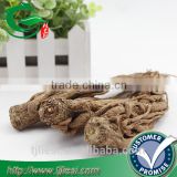 supply angelica powder not extract