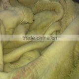 Frozen Halal Buffalo Cooked Tripe thumbnail-1