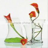 Cheaper Clear Oval-shaped Glass Vase