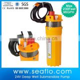 SEAFLO 12v 24v Small Electric dc solar pump