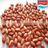 Bulk Fair Trade Red Peanut Kernels