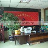 Shenzhen Zhongshi Watch Co., Ltd. company overview - view 2 thumbnail