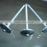 Mushroom Head Roofing Nail thumbnail-1