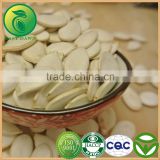 Snow White Pumpkin Seeds New Products On China Market Price