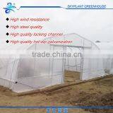 Cheap Plastic Film Greenhouse for Sale thumbnail-4