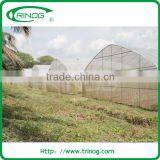 Greenhouse Poles for Agricultural thumbnail-1