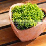 Heart Shpaed Terracotta Garden Pots thumbnail-2