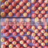 JINGCHUAN QINGUAN thumbnail-1