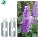 100%Pure and Natural HERBA ELSHOLTZIAE Oil