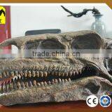 HLT Dinosaur Theme Park Dinosaur Replica Dinosaur Skull Sale thumbnail-1