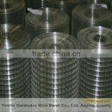 Welded Wire Mesh (20 Years Factory)