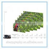 2015 China High Power 2600 Lumens Full HD LED 3D Outdoor Video Projector LX768 thumbnail-5