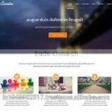 WordPress Website Design Services , Website Design, Custom Web Development, thumbnail-5