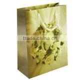 Beautiful Printing Promotional Paper Bag