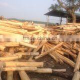 Laminate Moisture Core Veneer 970*470mm/ 1270*640mm thumbnail-4