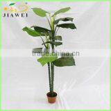 Indoor Fake Decorative Artificial Taro Plant Tree for Sale