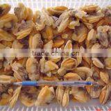 Frozen Yellow Clam Meat