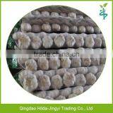 High Quality Chinese Garlic Price per Ton