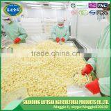 China IQF Peeled Garlic thumbnail-4