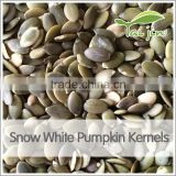 chinese snow white pumpkin seed pure white pumpkin seeds