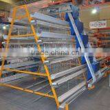 Automatic Chicken Feeding System thumbnail-1