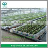 20mm-75mm PE Pipe thumbnail-6