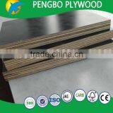 Pressure Treated Plywood 4ft x 8ft for Shuttering thumbnail-3