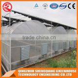 China Direct Plastic Greenhouse/grow Boxes for Agriculture Farming thumbnail-6