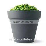 Custom Plastic Flower Pots thumbnail-1
