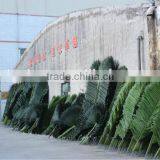 Fake Palm Leaf Factory New Product Fake Leaf Cheap Top Sale Artificial Palm Branch thumbnail-6