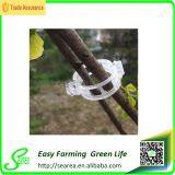 Tomato Grafting Clips thumbnail-2