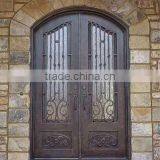 Bisini European Luxury Design Wrought Iron Door (BG90064)