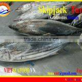FROZEN SKIPJACK TUNA WHOLE ROUND thumbnail-1
