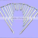 Galvanized Concrete Nails