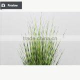 Artificial Potted Grass Synthetic Onion Grass In Pot Fake Grass in Pot for Indoor Decoration thumbnail-2
