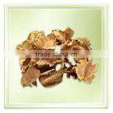 Mini Arjun thumbnail-1