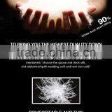 2015 Chinese Product OEM Outdoor Snow Ski Jacket,Ski Wear thumbnail-4