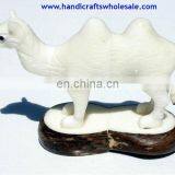 Large Camel Tagua Nut Figurine Natural Ivory Hand Carved Artwork Carving Exotic Animal Statues Wholesale Unique Ornament